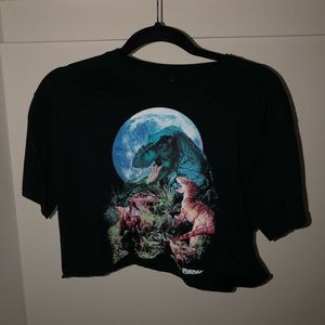 Jarassic Park Crop top